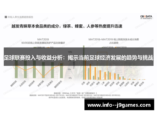 足球联赛投入与收益分析：揭示当前足球经济发展的趋势与挑战